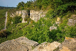 hessigheim,巖石園,巖石的內卡河谷