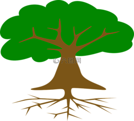 樹,根,葉子