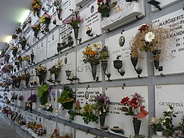 骨灰盒的坟墓,鲜花,坟场