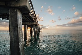 海,海洋,水