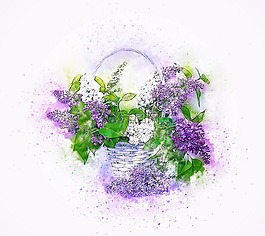鮮花,丁香,籃