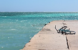 自行車,海洋,水