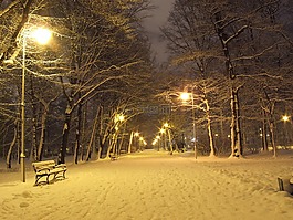 公園,冬季,夜