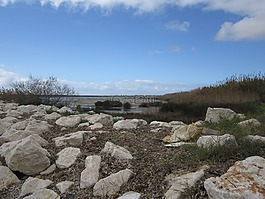 性質(zhì),環(huán)礁湖,海