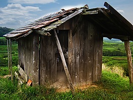 棚屋,山上的小屋,葡萄園