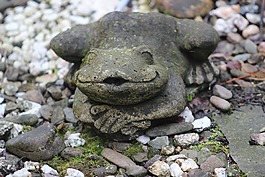 青蛙,德卡,gartendeko