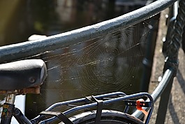 web,光,自行車
