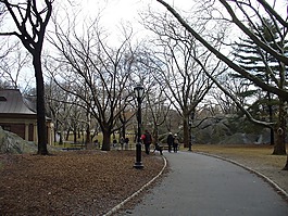 中央公園,紐約,曼哈頓