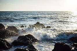 海,海洋,水