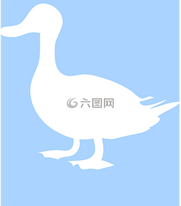 鴨,側(cè)影,白