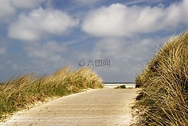 北海,海灘,沙丘