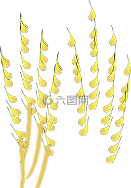 糧食,谷類,作物