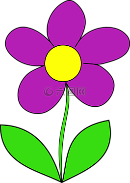 花,紫色,葉