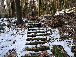 冬天,樓梯,森林