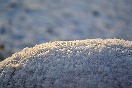 雪,宏,冬天