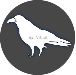 烏鴉,鳥,動物