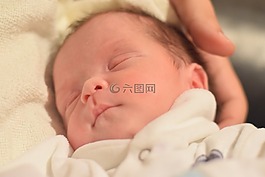 嬰兒,新生,兒童