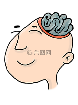 頭,大腦,認(rèn)為