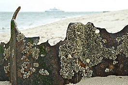 敘爾特島,彎頭,北海