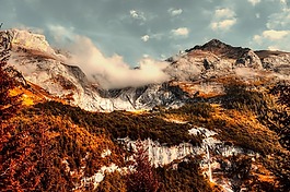 景觀,山,森林