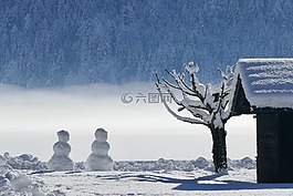 冬天,雪,冷