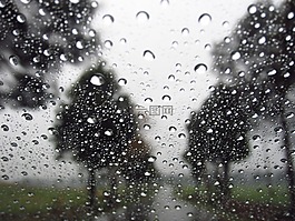 雨点,树,背景