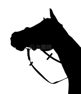 马,剪影,黑色