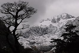 新西蘭,山,雪