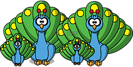 孔雀,家庭,peachick
