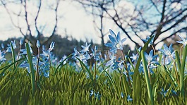綠色,草,藍色