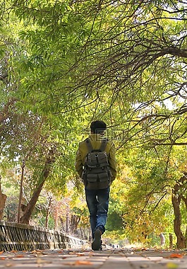 樹,木材,自然