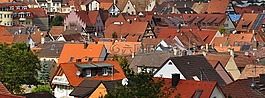 endingen,城市,村