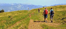 步行,游覽,山