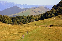 步行,游覽,山
