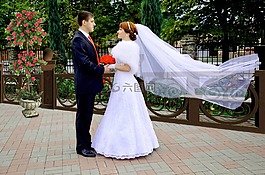 婚禮,新郎,新娘