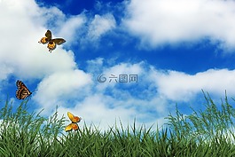 高峰,蝴蝶,云
