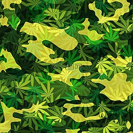 大麻,偽裝,藥物