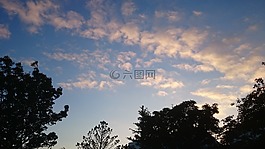 樹,云,碧落
