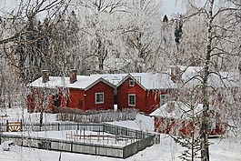 全白,封面,雪