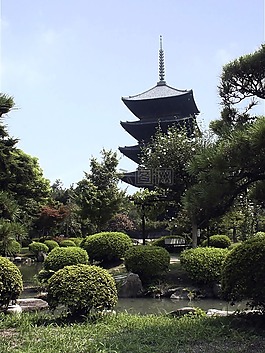 日本,寺,木材