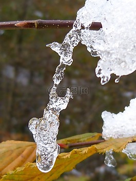 冰,晶體,eiskristalle
