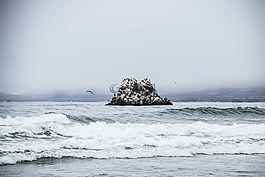 海,太平洋,島