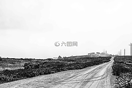 燈塔,霧,預(yù)訂