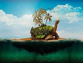 人體內的水,mar,海洋