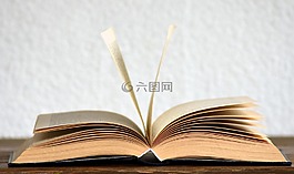本书,读取,学习