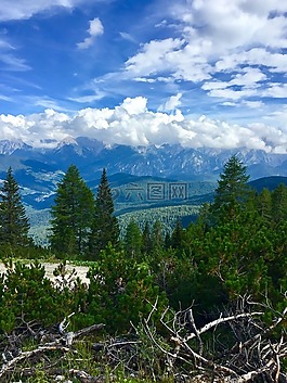 高山,山,景觀