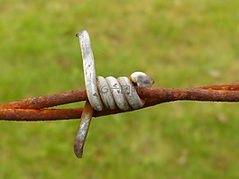 鐵絲網(wǎng),線,生銹