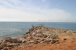 菲舍爾,葡萄牙,魚