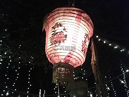 光,夜,燈
