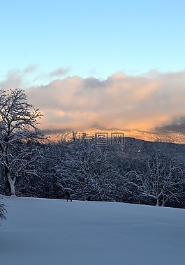 山,雪,冬天